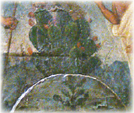 Nopaleras y &aacute;rboles.