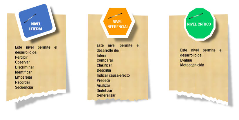 Esquema de niveles de habilidad intelectual.