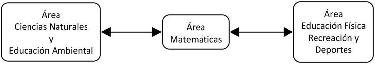 Pluridisciplinariedad entre &aacute;reas del conocimiento.